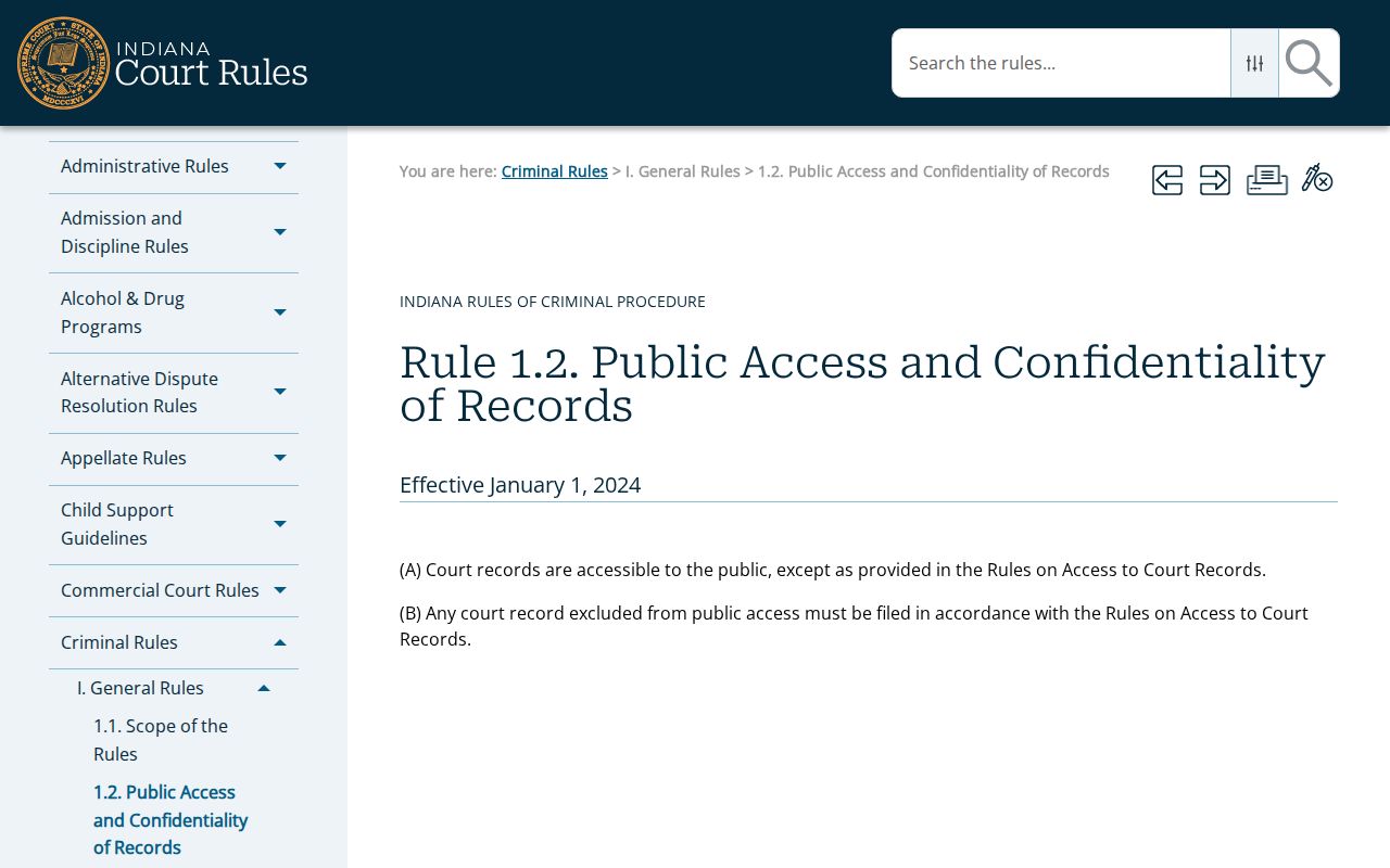Knox County criminal court record access rule